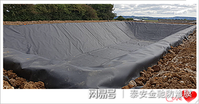 湖北垃圾填埋场用高密度聚乙烯2.0mm HDPE土工膜厂家价格示例图2