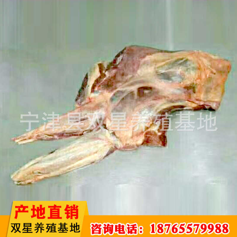 养殖基地蒙古进口山羊 新鲜山羊肉冷藏 现杀山羊冷冻羊肉示例图18