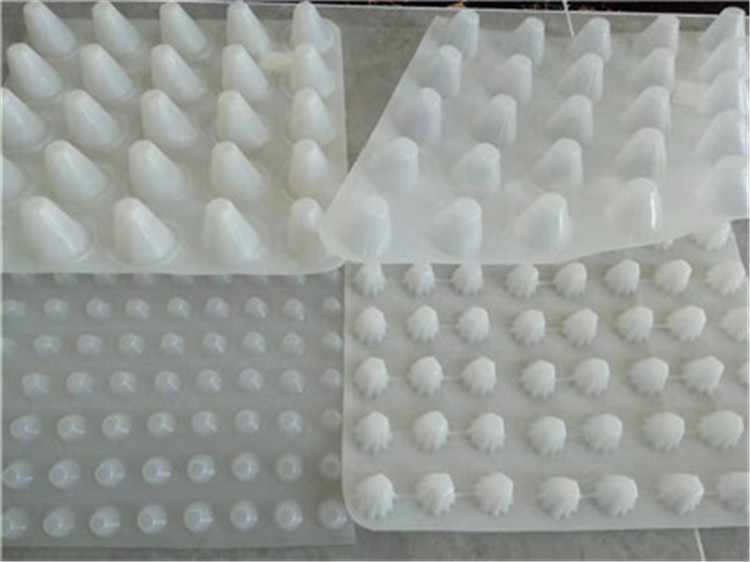 厂家直销塑料蓄排水板 耐用塑料蓄排水板 楼顶绿化种植排水板示例图4