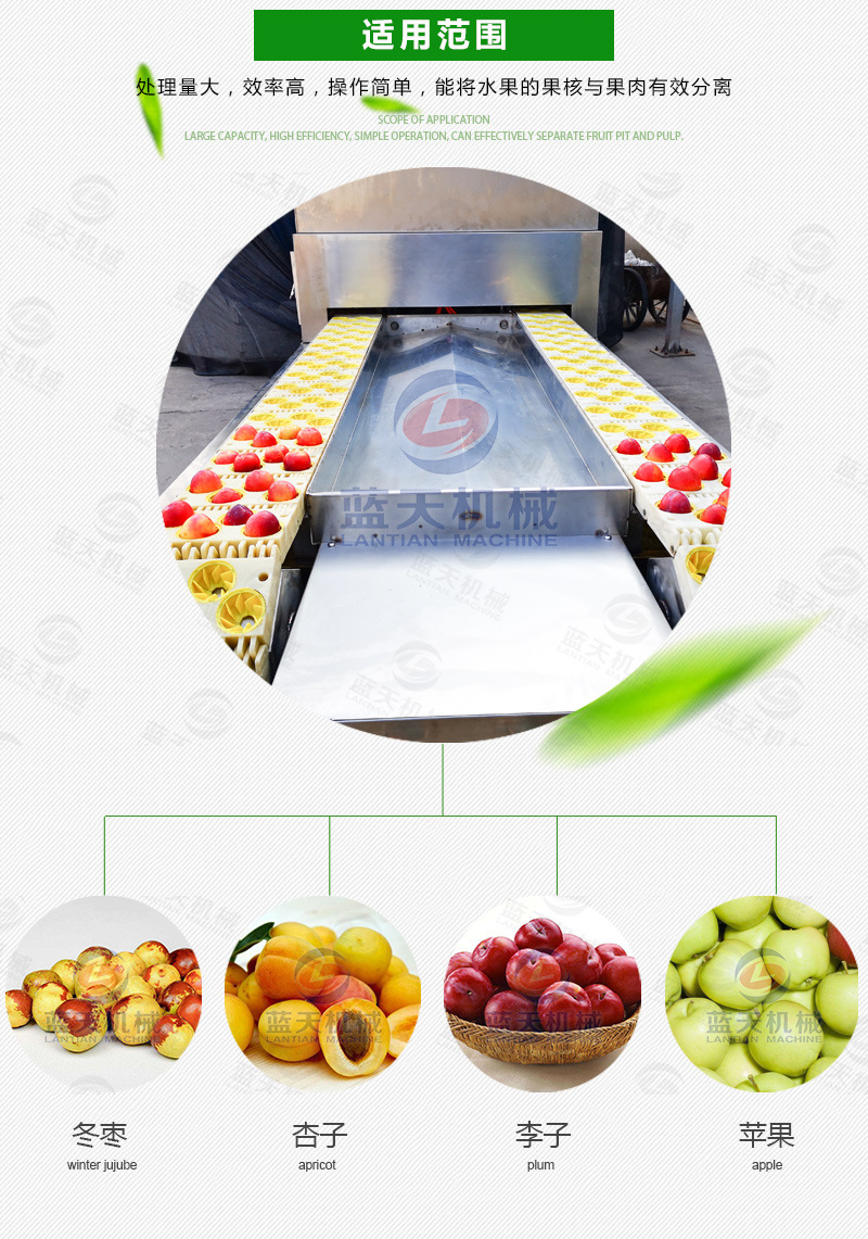不锈钢水果去核机 水果专业去核切瓣机 全自动水果去核设备生产商示例图5
