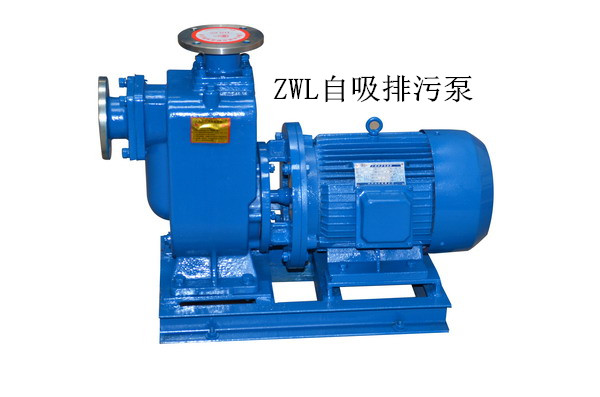 大流量自吸排污泵 自吸排污泵生产商 自吸排污泵 大流量自吸排污泵生产商示例图12