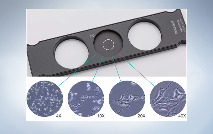 奥林巴斯倒置显微镜CKX53示例图1