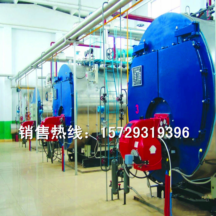 河南太康牌生物質蒸汽發生器 綠色環保 燒生物質顆粒蒸汽發生器示例圖21