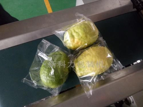 唐氏智能内江柠檬包装机 自动柠檬包装机 新科力柠檬包装机  成都花袋柠檬包装机示例图2
