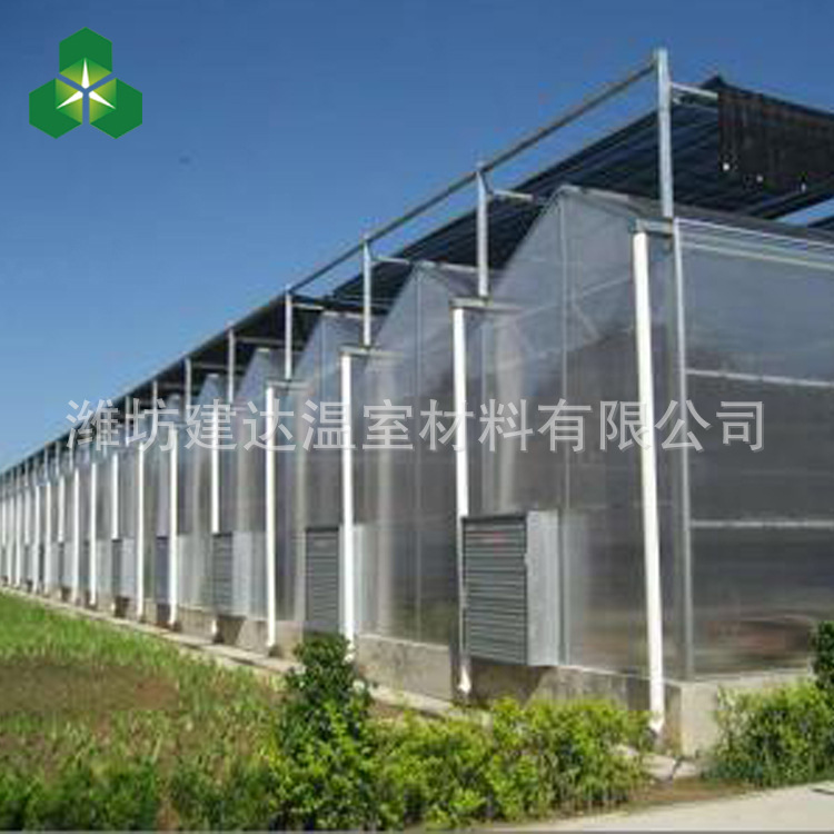 文洛温室  厂家直销阳光板温室大棚 批发定制连栋温室示例图9