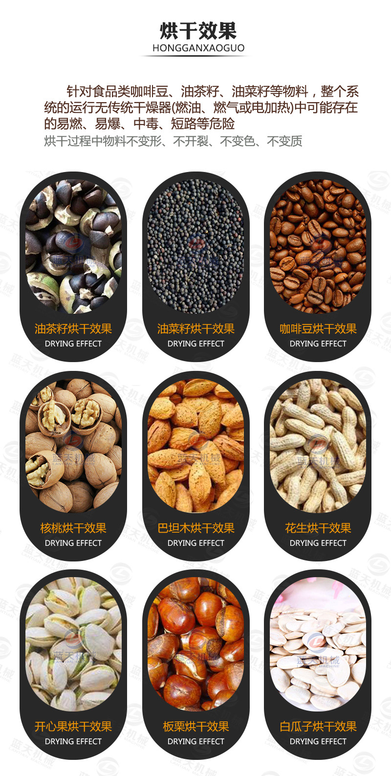 空气能咖啡豆烘干机 节能环保可可豆干燥机 热风式咖啡果烘干设备示例图13