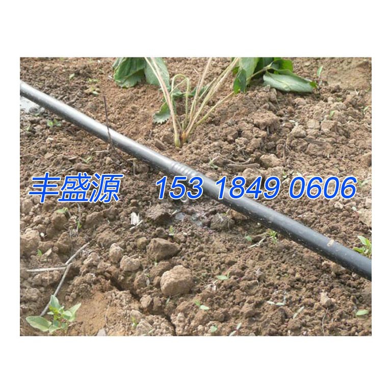 山地滴灌管滴头安装 16pe管 20pe管 32pe管 灌溉pe管大量供应示例图7
