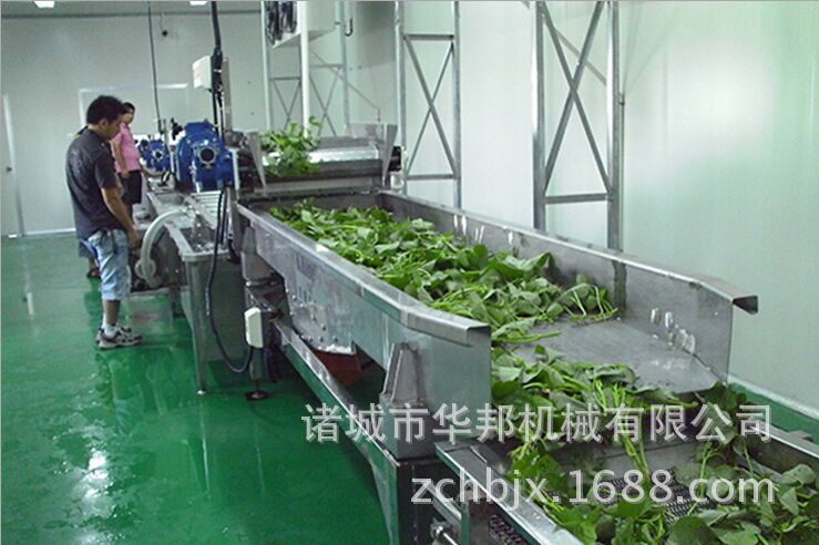 【厂家直销】蔬菜清洗机，华邦蔬菜清洗设备，果蔬加工设备示例图9