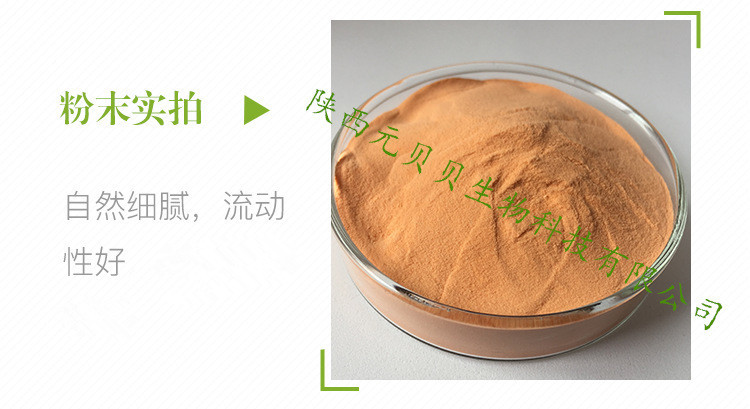 红萝卜粉 固体饮料原料SC厂家 易溶解流动性好 胡萝卜粉示例图6