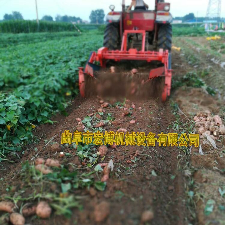 土豆马铃薯收获机 马铃薯收割收获机 手扶牵引式土豆收获机示例图19