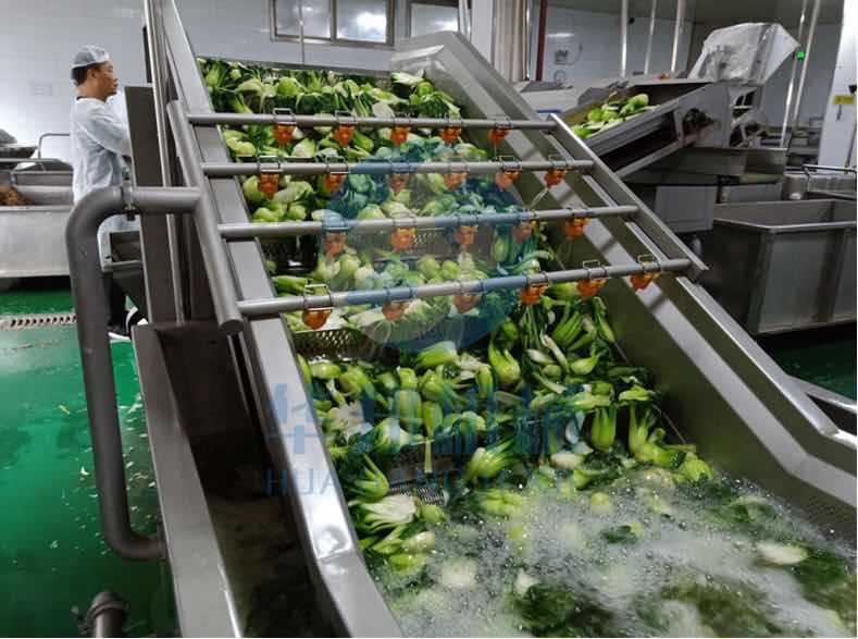 蔬菜清洗机 气泡冲浪喷淋洗菜机 两年质保 厂家直销示例图3