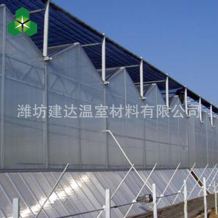厂家直销阳光板温室 美观连栋温室大棚 定制批发结构稳定文洛温室示例图6