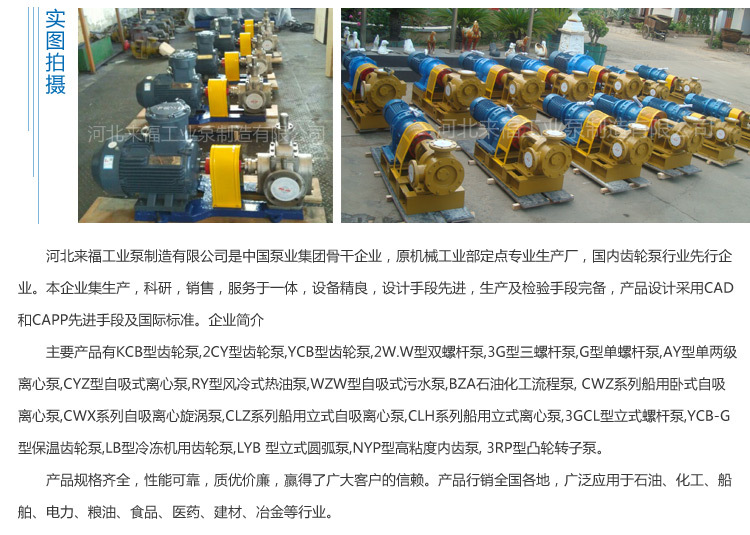 批发销售YCB20圆弧齿轮泵 铸铁 输油泵示例图12
