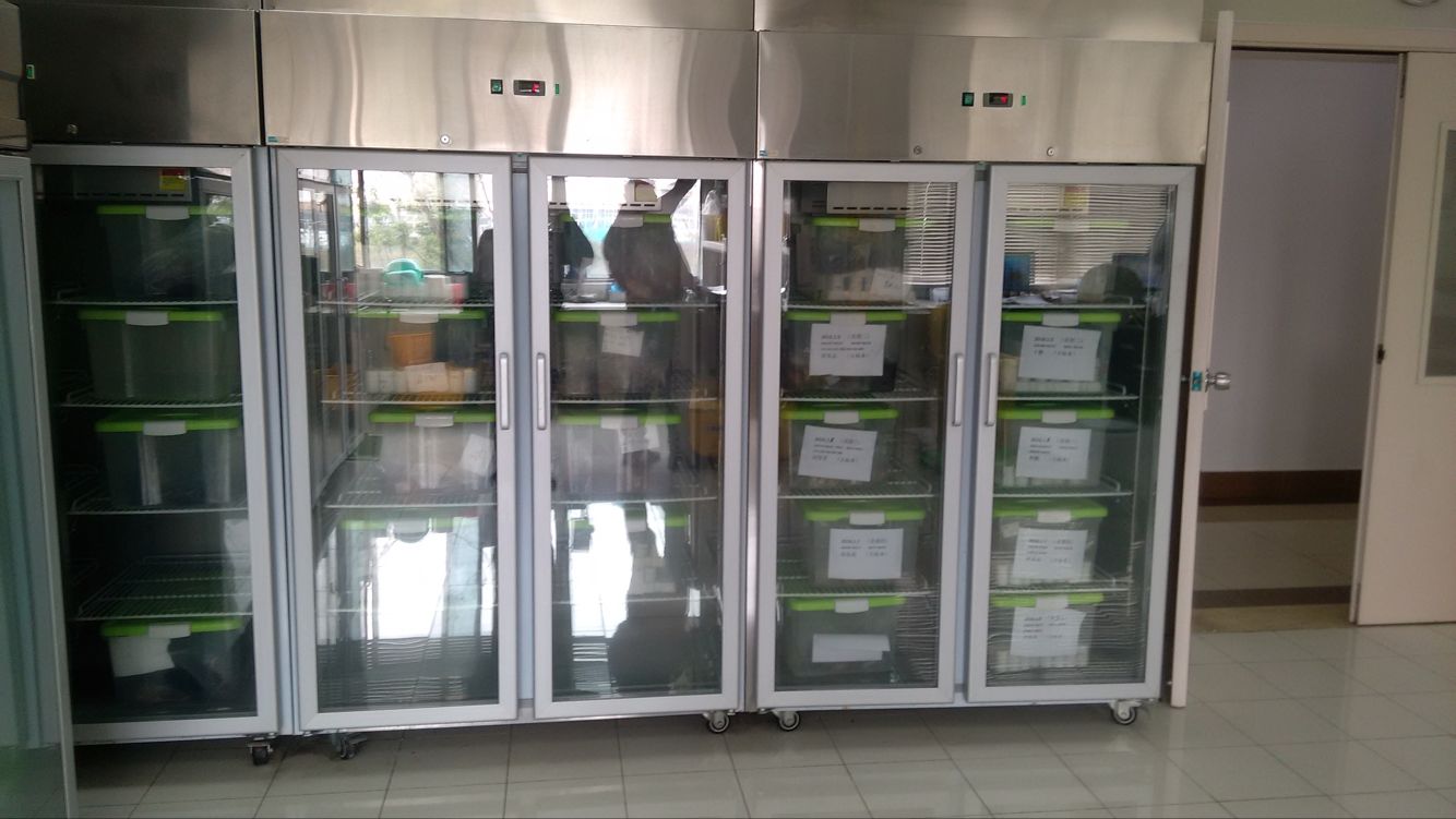 上海复旦大学附属儿童医院病理标本冷藏柜.png