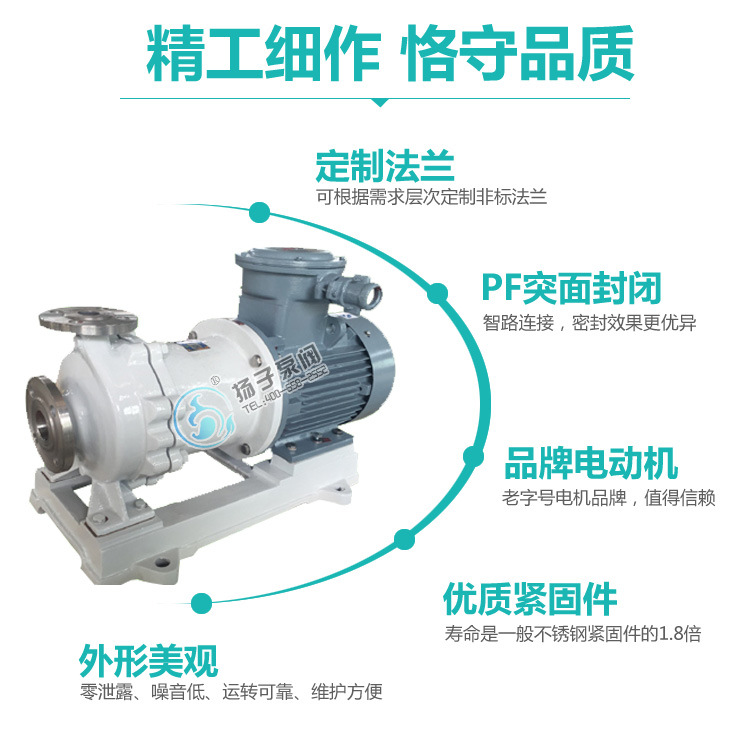 安徽扬子CQB50-32-125P不锈钢磁力泵 磁力驱动泵 防腐化工磁力泵示例图9