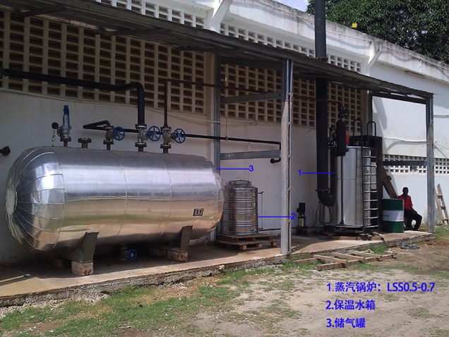 张家港威孚,燃油气蒸汽锅炉,配套热交换机示例图11