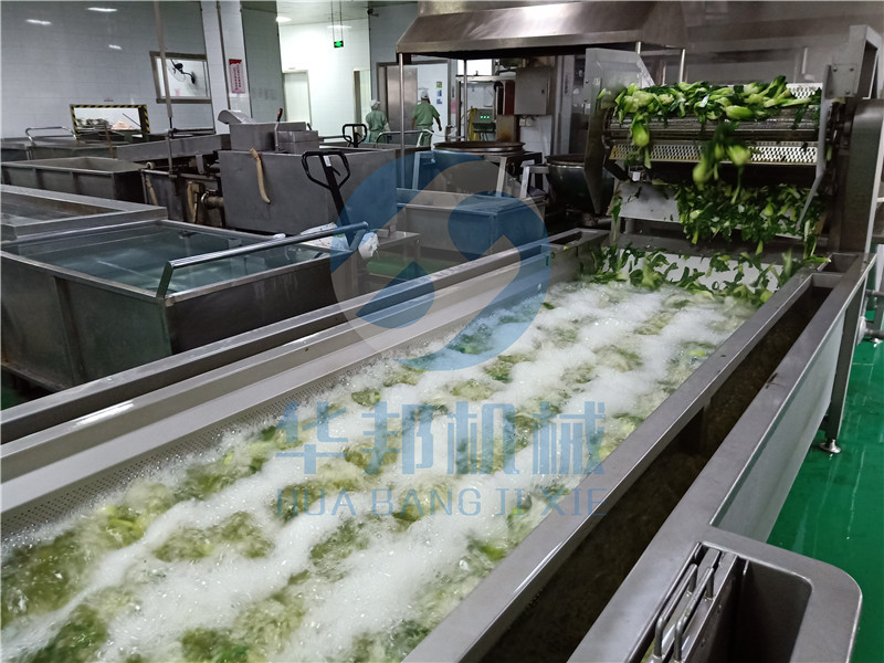 云南蕨菜多功能气泡清洗机 菌菇清洗机生产厂家 华邦食品HB机械示例图3