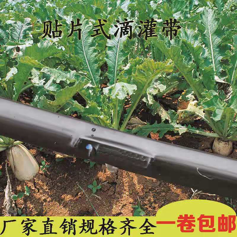 横川县温室大棚滴灌设备 喷灌设备 滴灌配件示例图1