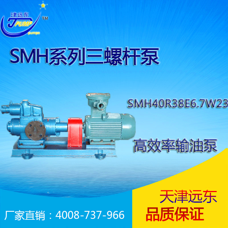 天津远东 SM三螺杆泵 SMH40R38E6.7W23 润滑油输送泵 厂家直销示例图1
