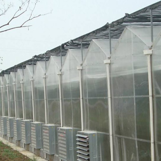潍坊建达温室 厂家直销阳光板温室大棚 阳光连栋大棚材料 文洛型温室大棚