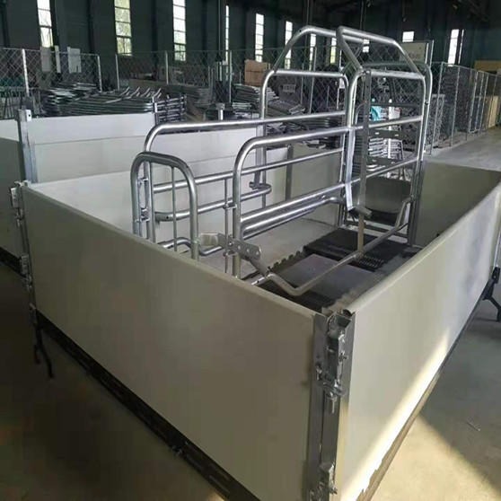 世昌畜牧 CH-1欧式母猪产床 新款欧式猪产床 母猪产床 养猪用设备