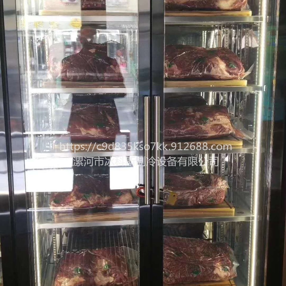 威海商用牛肉熟成柜  干式排酸柜 定制西餐湿式牛排柜冷藏保鲜柜 未来雪冷柜 工厂定制 未来雪冷柜 WLX-NR-236