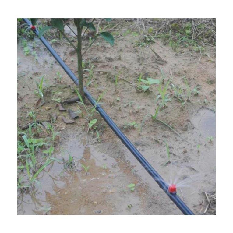 山地果园自动灌溉系统，成都果园自动灌溉系统 蓝莓智能灌溉系统丰盛源
