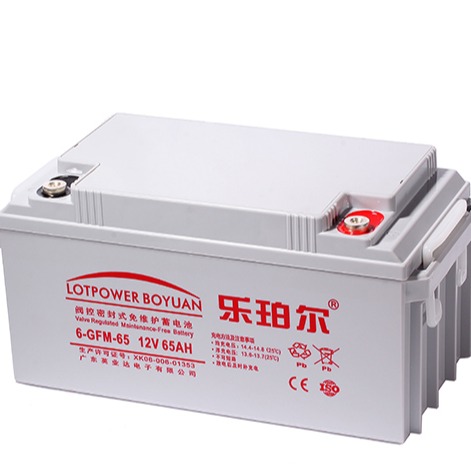 广州乐珀尔蓄电池 GFM-6-65 12V65AH蓄电池 乐珀尔蓄电池厂家