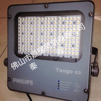 飞利浦LED泛光灯 经济型投光灯 120/80/40W 泛光照明灯具 BVP281户外照明灯具
