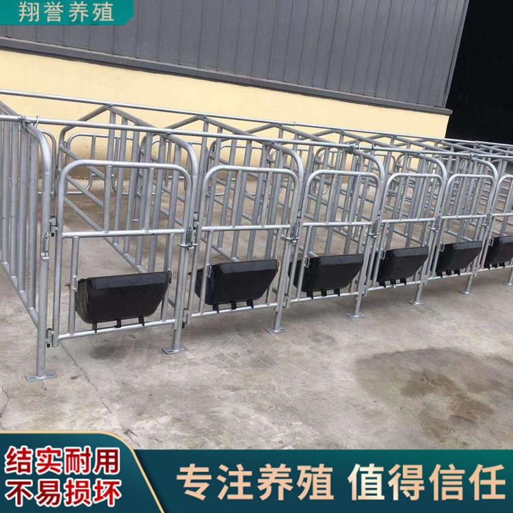 供应母猪定位栏 耐用热浸锌不易生锈限位栏 养殖猪栏 翔誉