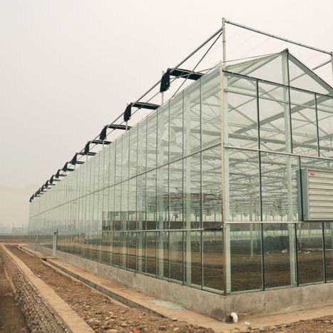 博伟 玻璃温室 蔬菜玻璃大棚 生态玻璃大棚 欢迎致电