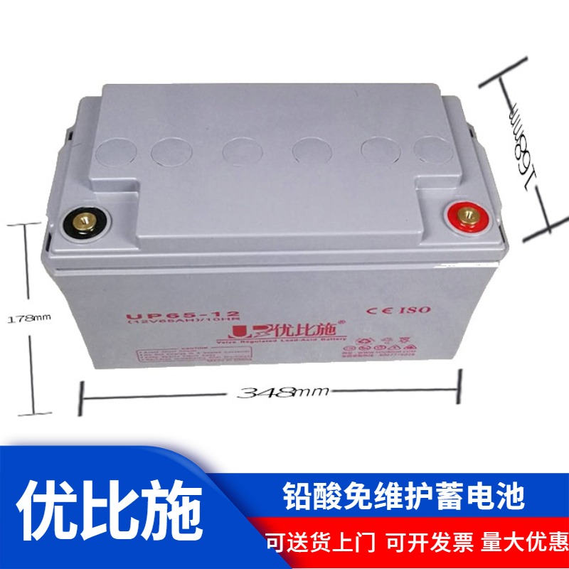 消防eps电池 优比施12V100AH电池厂家直销 安防监控蓄电池 上海eps干电池图片