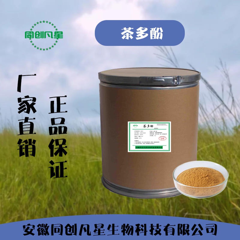 安徽同创凡星 食品级茶多酚绿茶提取物脂肪速溶 加速儿茶素精华减 EGCG代谢