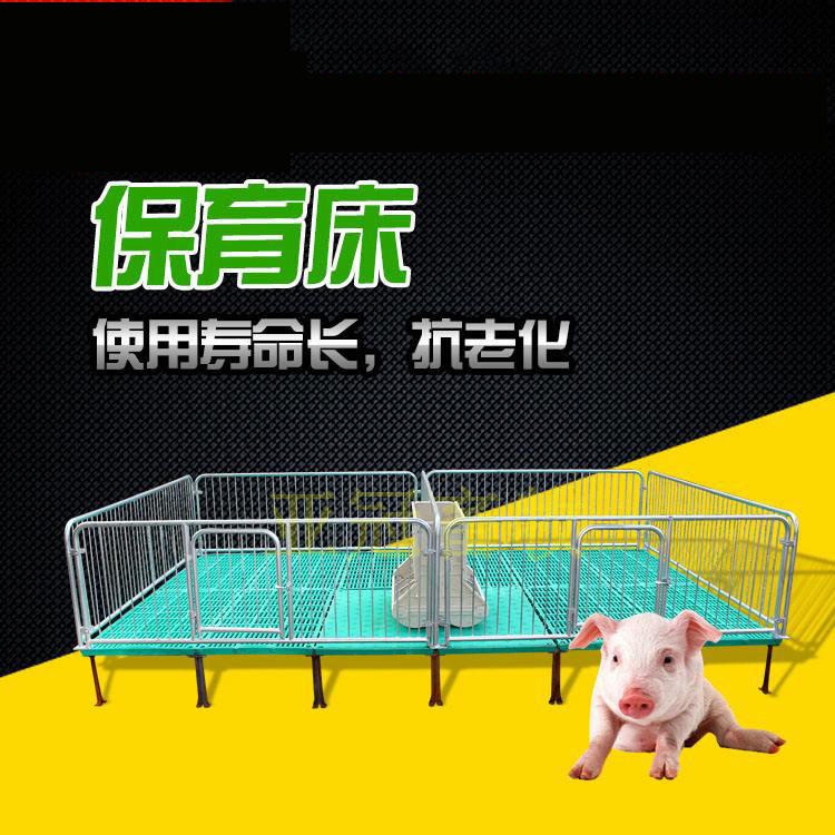 亚冠保育床 YG07保育床仔猪保育床 母猪产床定制供应