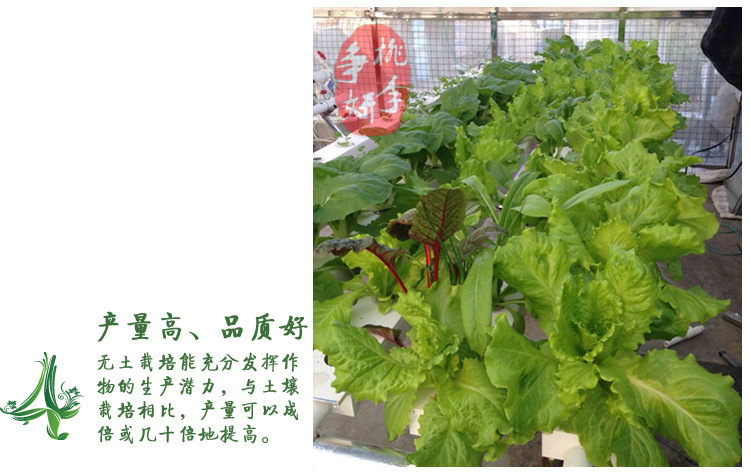 阳台无土栽培 单面四管水培设备 绿色蔬菜种植专用 全自动浇水示例图4