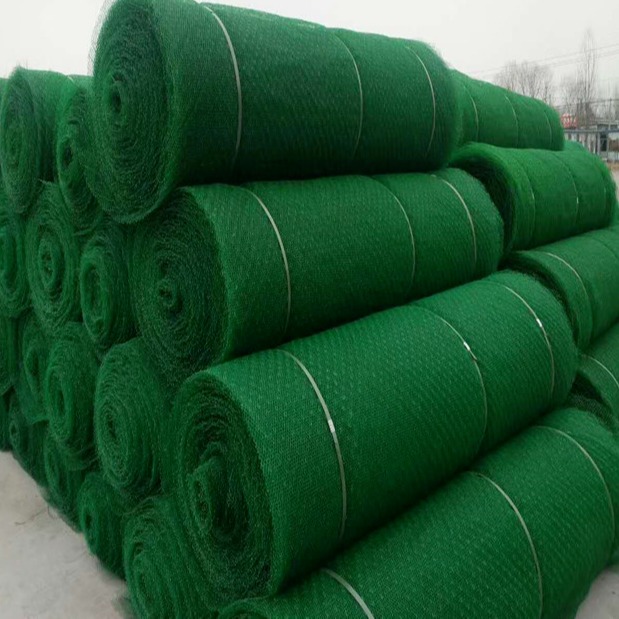 三维网垫厂家供应 边坡防护用三维植被网 工程绿化用三维网垫