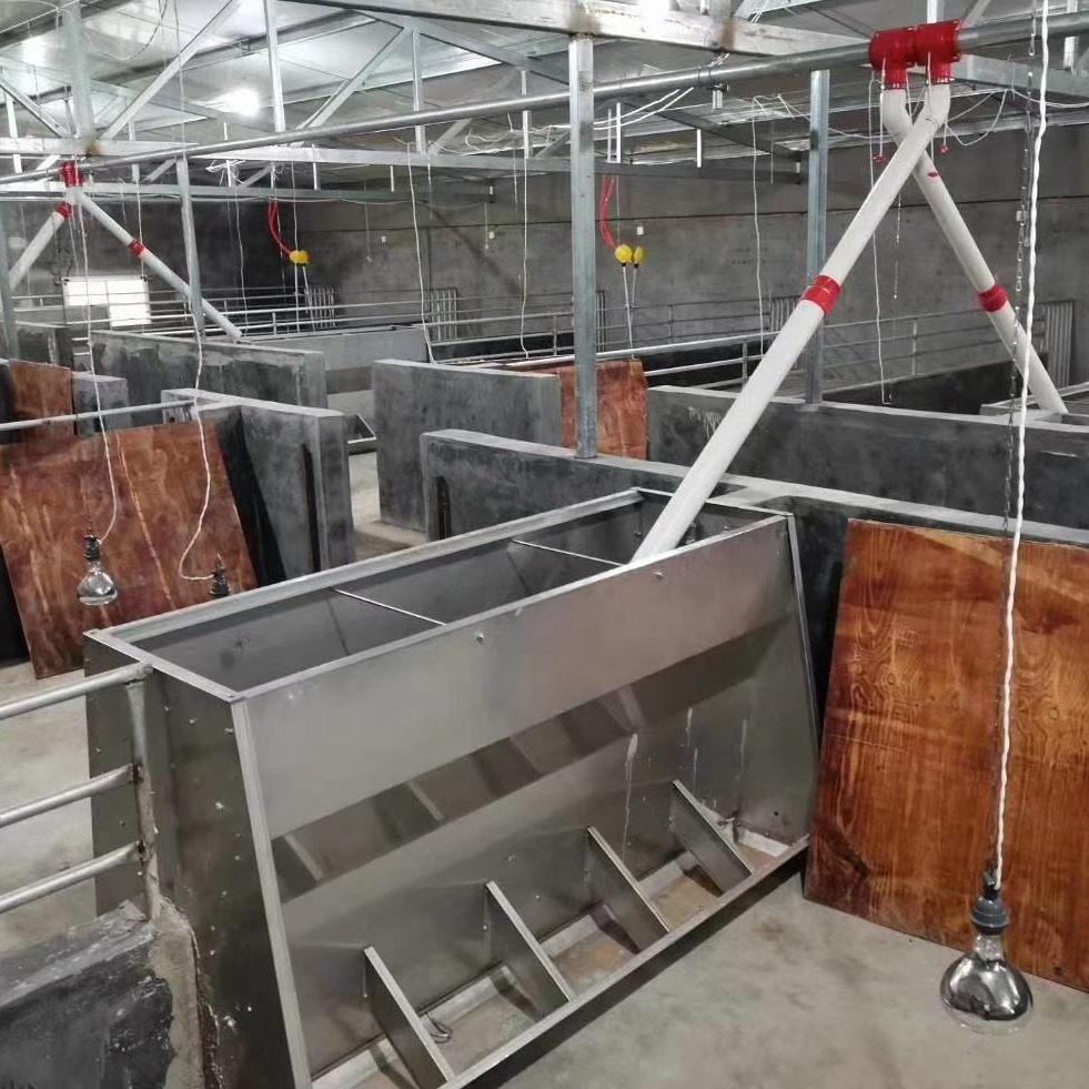 猪场自动化喂料设备 全自动料线 料塔料线厂家直营