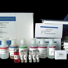 大鼠血小板衍化生长因子ELISA试剂盒 PDGF试剂盒 PDGF ELISA试剂盒