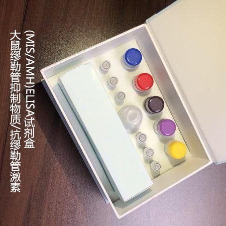 大鼠缪勒管抑制物质/抗缪勒管激素(MIS/AMH)ELISA试剂盒  WSJH20216B  48T 维克奇图片