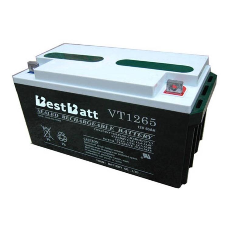 BestBatt蓄电池VT1255 12V55AH密封性能好 安全环保
