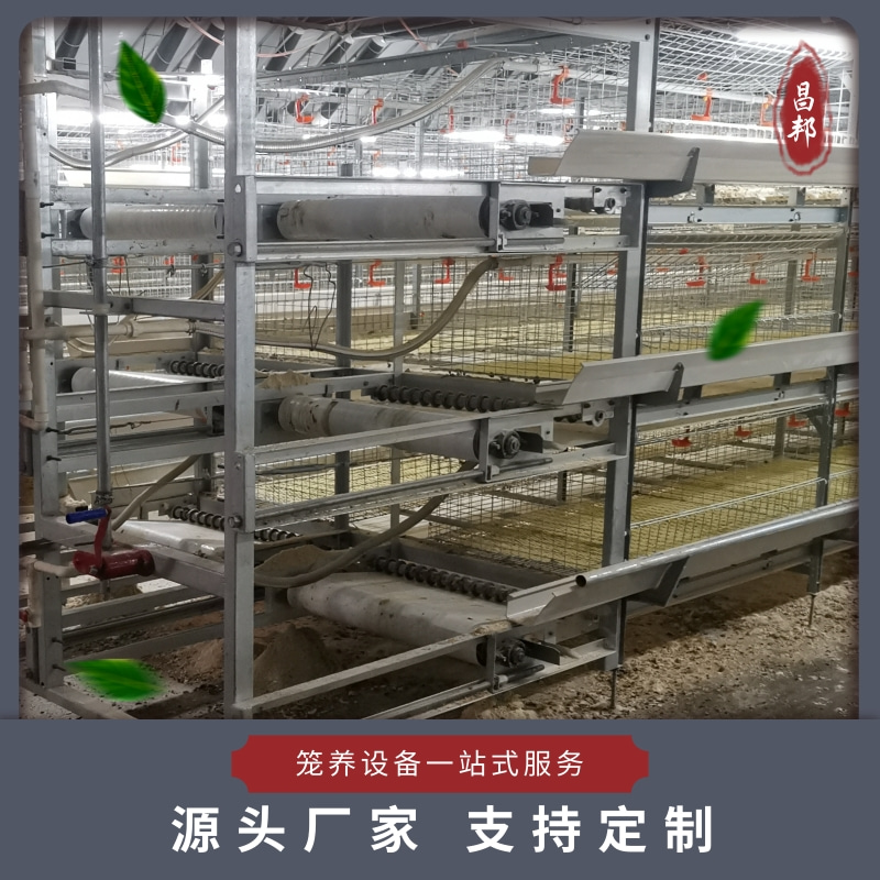 多层肉鸡笼 鸡笼厂家 昌邦 养殖肉鸡笼出售 常年出售