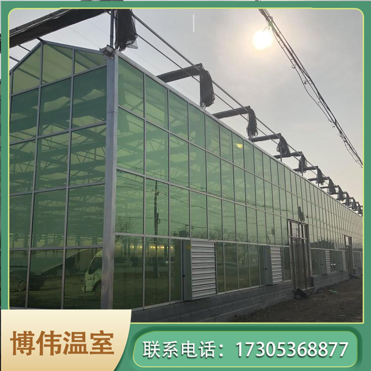 青州温室大棚 四季蔬菜大棚 中空玻璃温室 博伟 BW