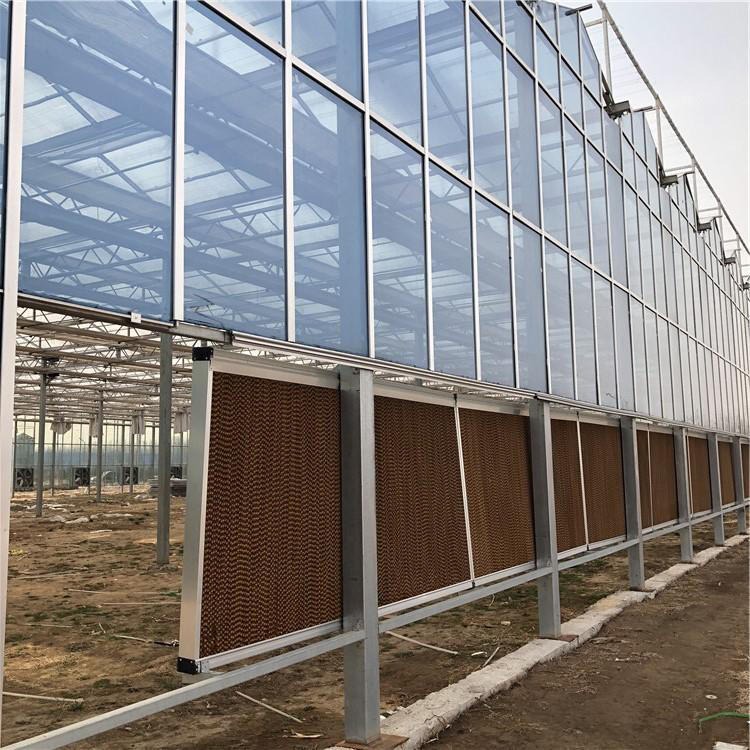 博伟 BW 玻璃温室建设 连栋玻璃温室 承建连栋温室 连体温室大棚 质量保障