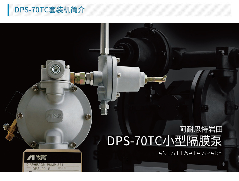 日本阿耐思特岩田双隔膜泵 DPS-70TC罐式气动双隔膜泵 小型输送泵示例图2