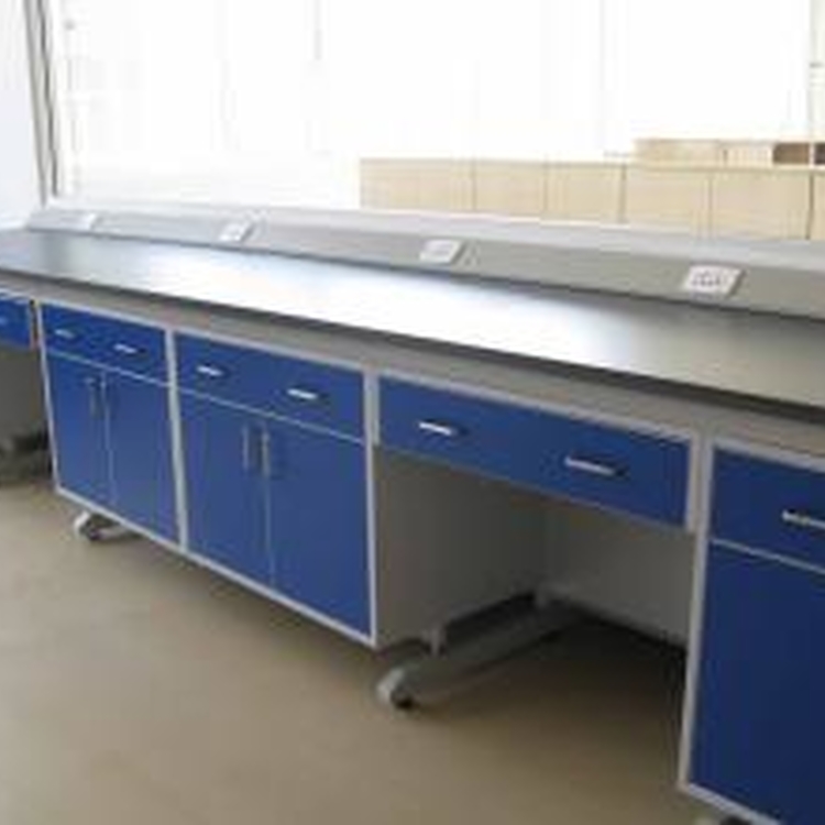 赛思斯 S-SG1宜宾市钢木操作台 实验室台柜 大理石高温台刑侦 DNA学校实验室 