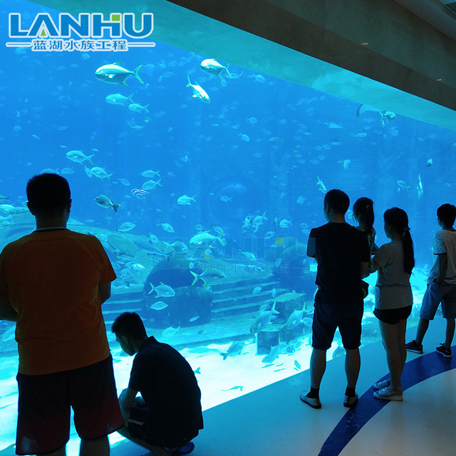lanhu海洋馆设计水族工程 海洋馆鱼缸 大型亚克力有机玻璃鱼缸造景