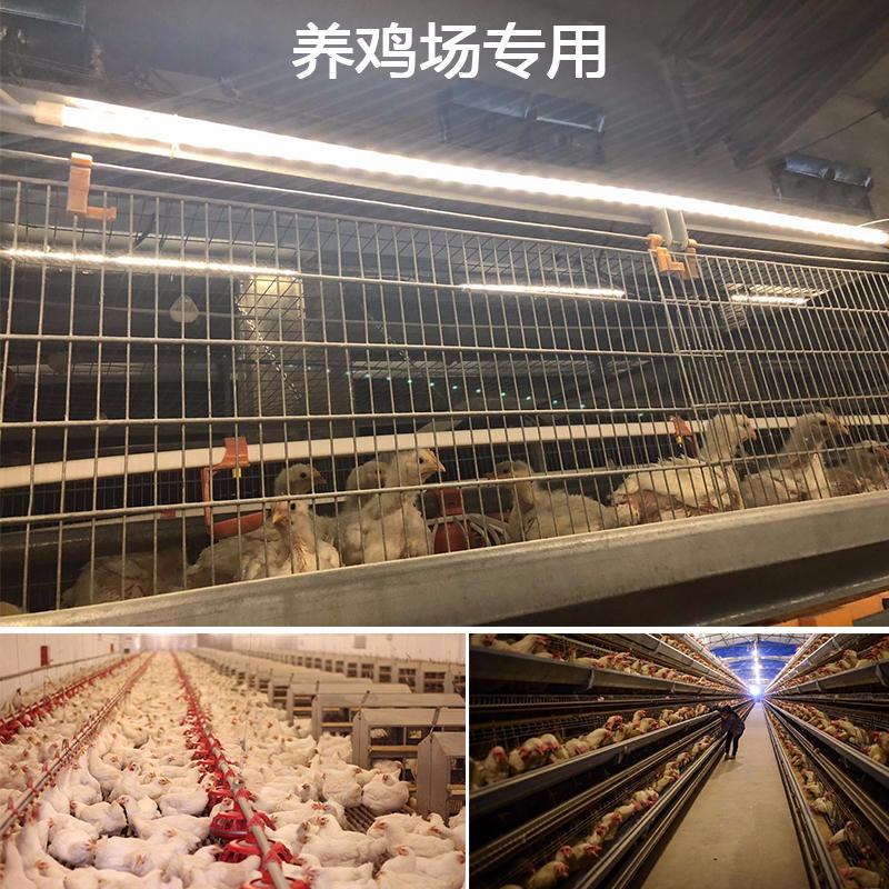 普瑞斯养鸡场专用智能照明系统 可调光LED灯管3W-5W PRS-T5-3W-5W