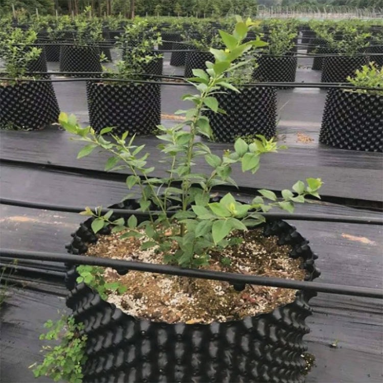 耐用坚固的移栽盆控根器 果园移栽控根器 围树板控根器 一匡1件起发