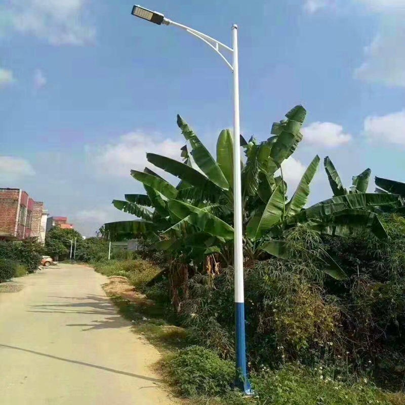 江门新农村建设6米路灯厂家 热度锌道路灯柱 勤跃照明路灯