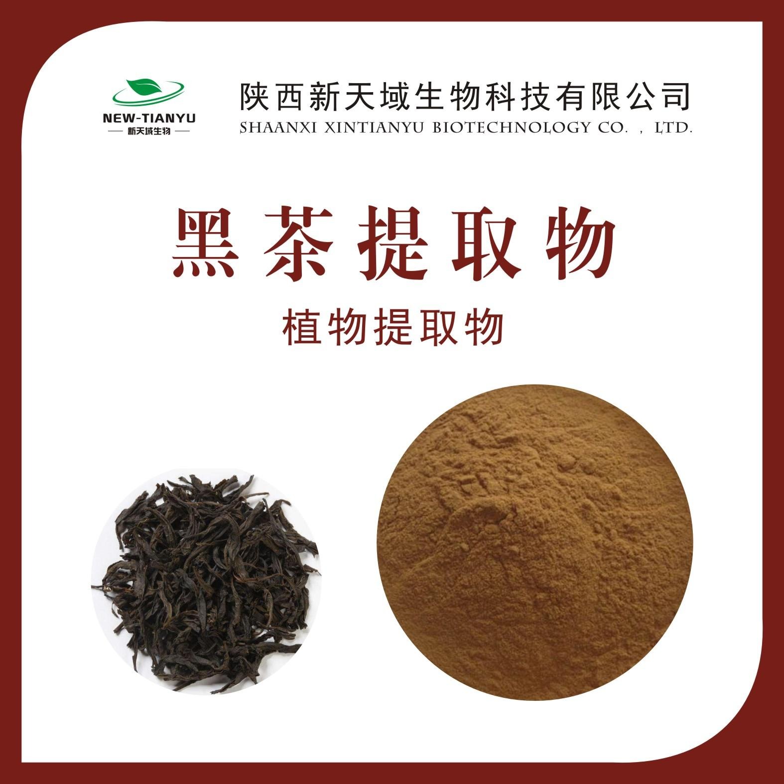黑茶提取物 黑茶浓缩粉 黑茶喷雾干燥粉 黑茶粉 生产厂家 现货保邮